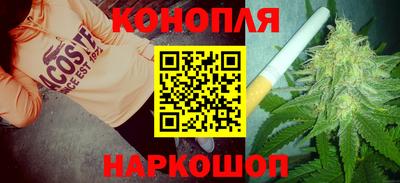 гашик Новокубанск