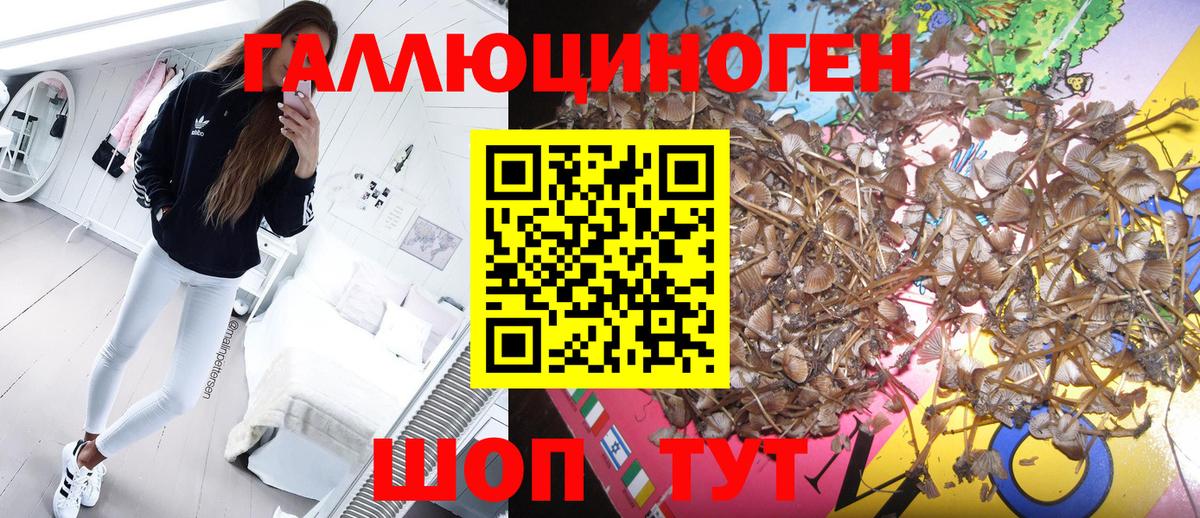Галлюциногенные грибы ЛСД  Вход с VPN  Сухой Лог 