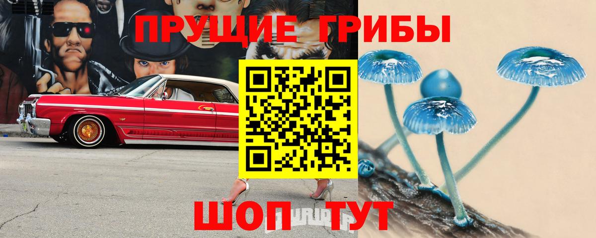 Псилоцибиновые грибы GOLDEN TEACHER Сухой Лог